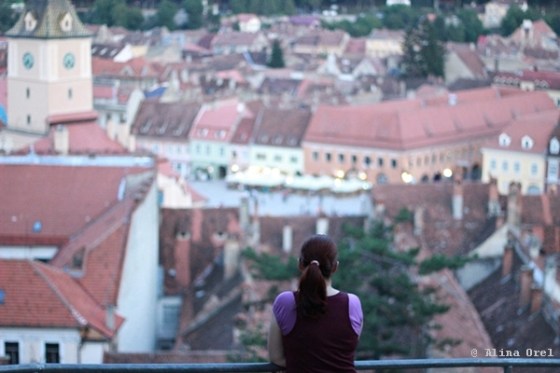 reorientare profesionala