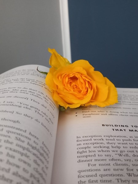 Psihoterapia scurtă orientată pe soluții (SFBT) – principii, adresabilitate,&nbsp;studii